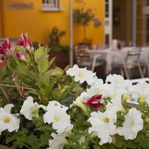 Terasse Bistro Chiara